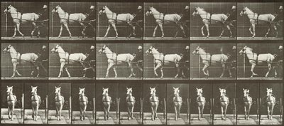 Walking, Sulky, Light Gray Mare, Katydid by Eadweard Muybridge